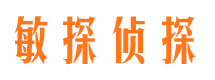 新罗侦探公司